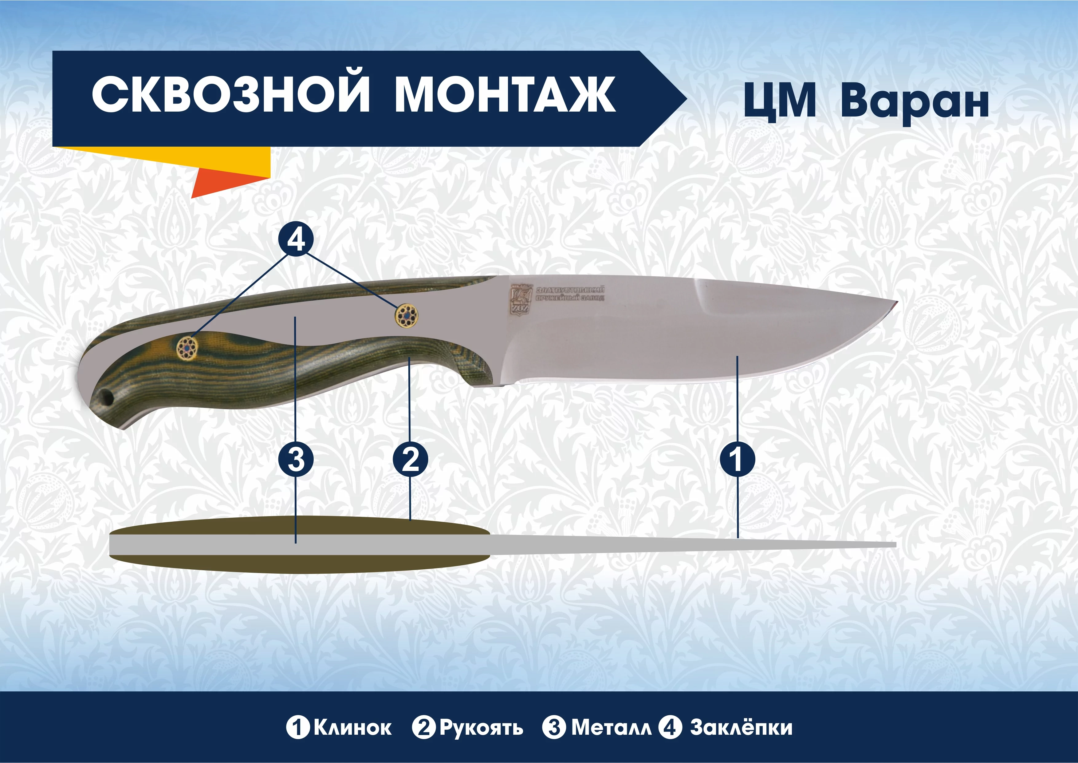 ЦМ Варан Анатомия ножей