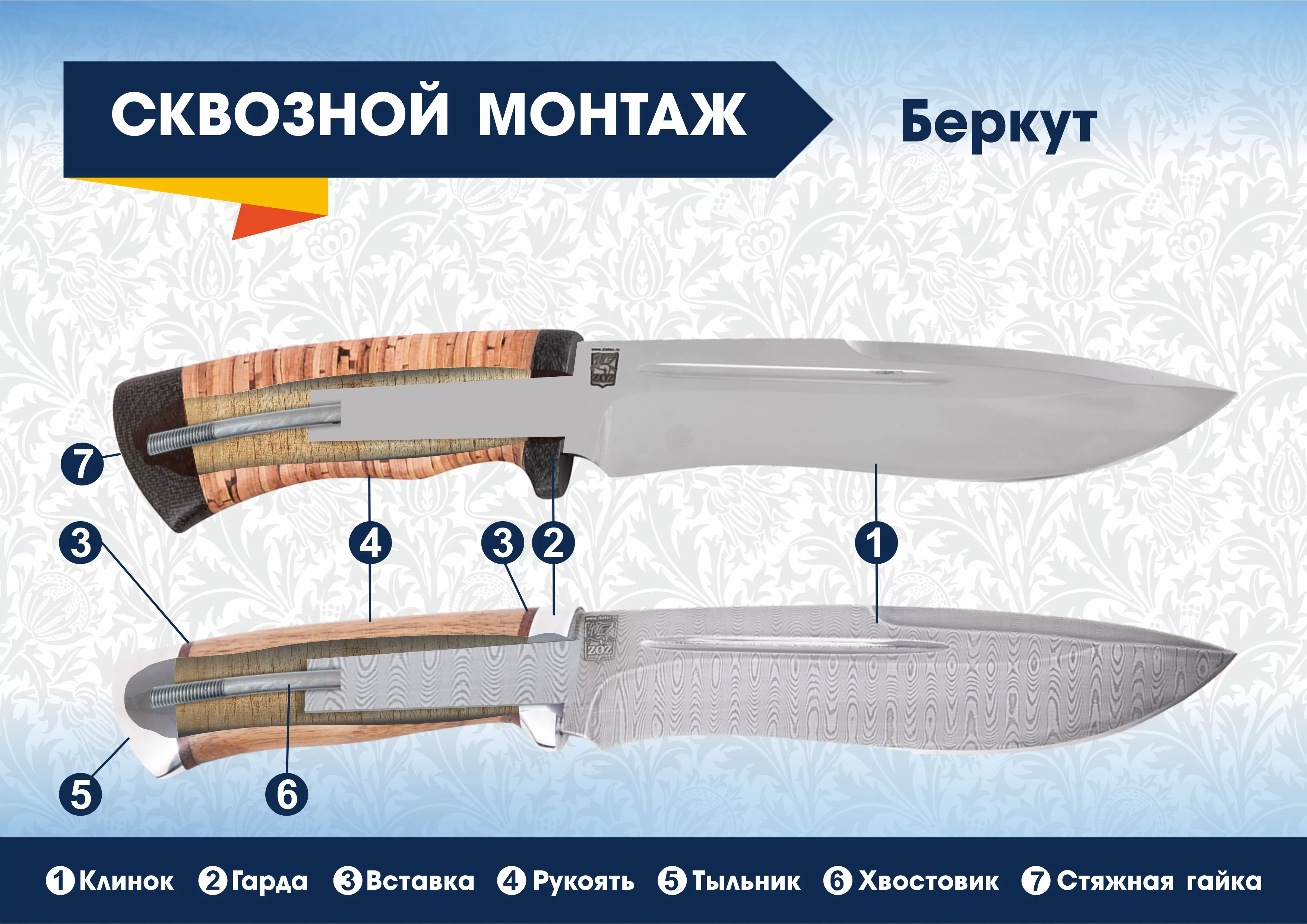 беркут