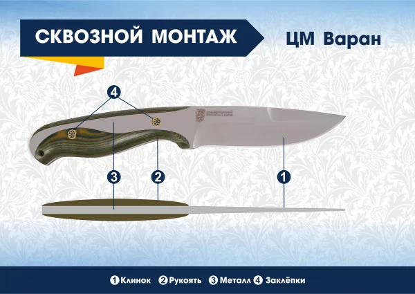 ЦМ Варан Анатомия ножей