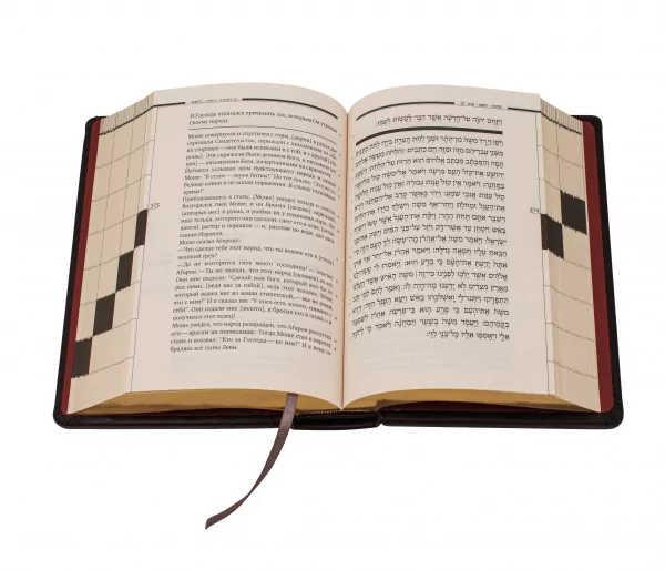 Книга подарочная Тора (натуральная кожа, золотой срез) 0З-00005615 (7)
